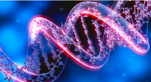 Firenze, 5/10/23 - Corso di Formazione Residenziale - Gestione delle malattie rare 2023