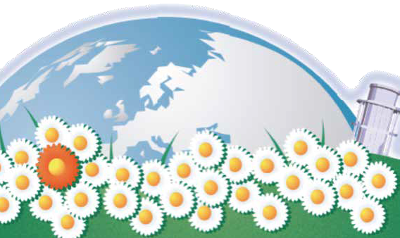 CORSI EDUCAZIONALI SIR 2017 - Le Malattie Rare in Reumatologia, Alessandro Lupoli